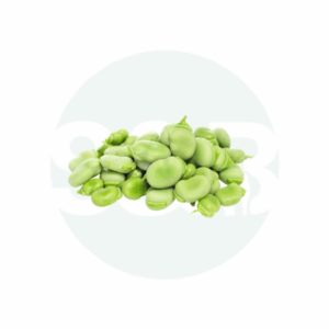 Frozen Green Broad Beans