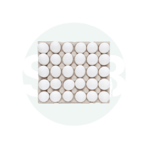 Indian Large White Open Eggs 12x30