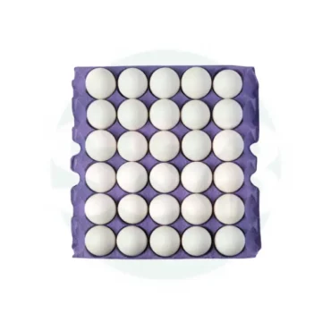 Indian White Open Eggs 12x30Tray