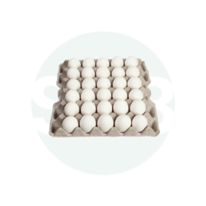 Pakistan Large White Open Eggs 12x30
